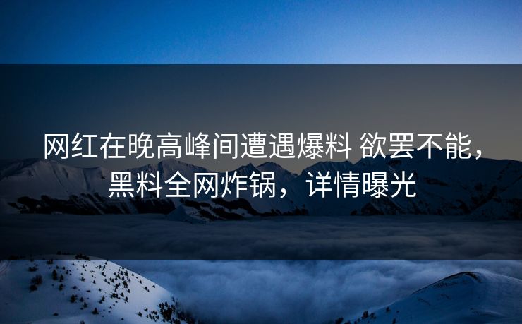 网红在晚高峰间遭遇爆料 欲罢不能，黑料全网炸锅，详情曝光