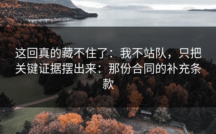 这回真的藏不住了：我不站队，只把关键证据摆出来：那份合同的补充条款